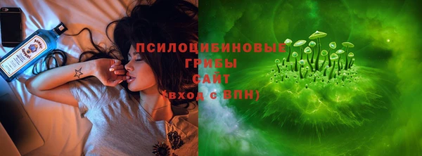 ПСИЛОЦИБИНОВЫЕ ГРИБЫ Балабаново