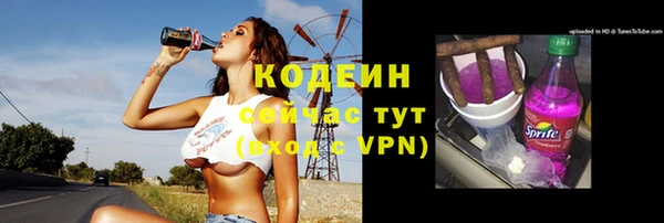 шишки Балахна