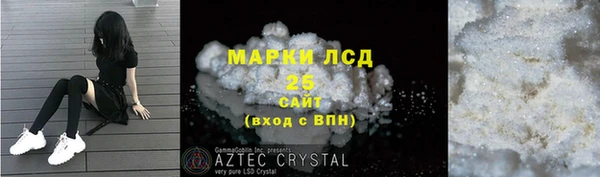 ПСИЛОЦИБИНОВЫЕ ГРИБЫ Балабаново