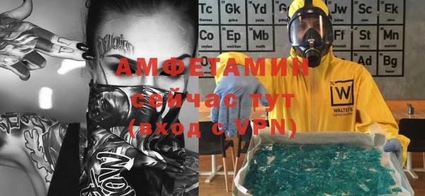 шишки Балахна