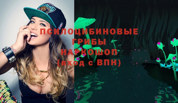 молекула духа Баксан