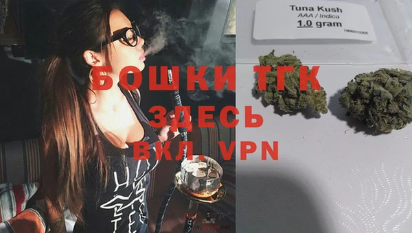 шишки Балахна