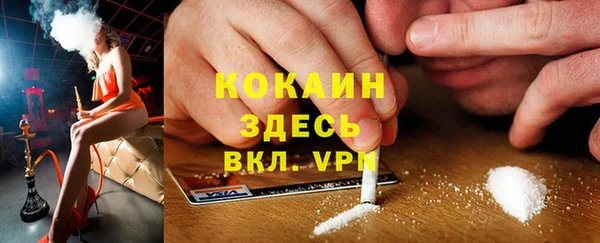 ПСИЛОЦИБИНОВЫЕ ГРИБЫ Балабаново
