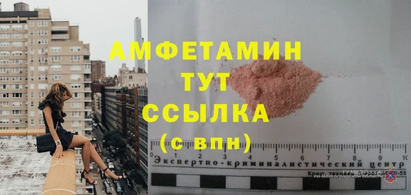 шишки Балахна
